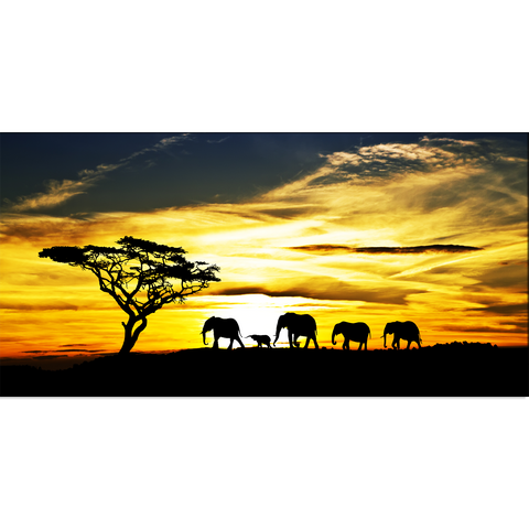 Elephant Family With Sunset Canvas Print Wall Painting