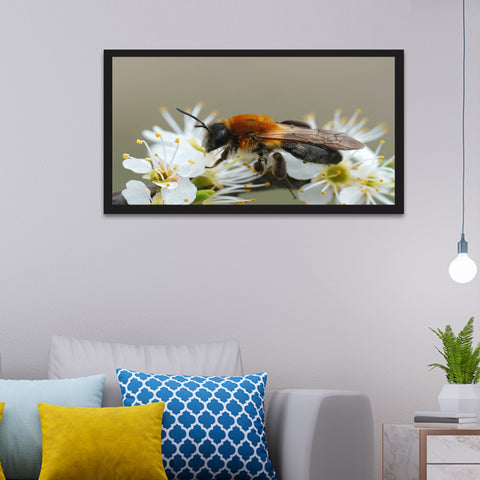 Beautiful Honey Bee on White Flowers Canvas Painting