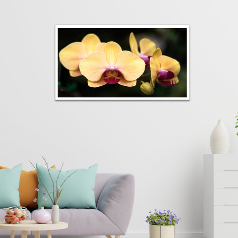 Blooming Yellow Orchid Flower Canvas Art Print Floating Frame Canvas Wall Painting