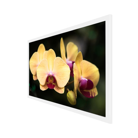 Blooming Yellow Orchid Flower Canvas Art Print Floating Frame Canvas Wall Painting