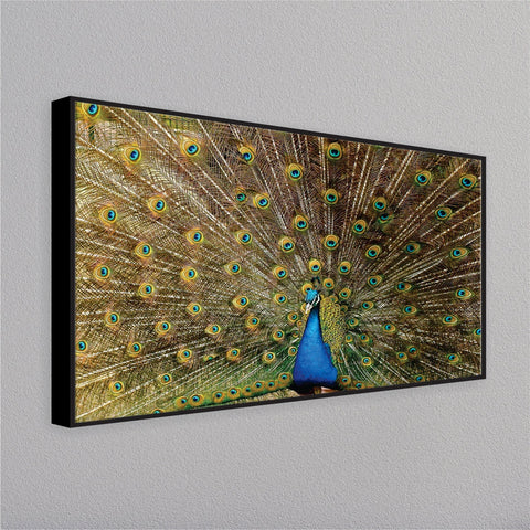 Indian Peacock Birds Wall Painting