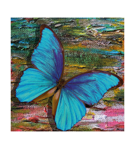 The Dazzling Display of a Blue Butterfly in a Rainbow of Hues