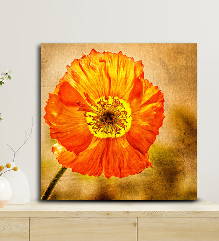 An Exotic Orange Flower Painting Brings the Sunshine Indoors