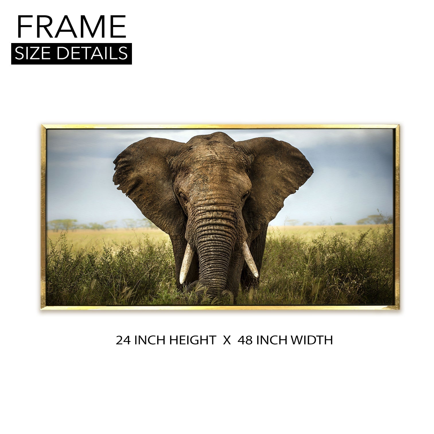 Amazing Wildlife Wall Art. Large Canvas Paintings. Framed Digital Reprints of Jungle, Wildlife, Animals and Birds 24 Inch x 48 Inch (WBWA24)