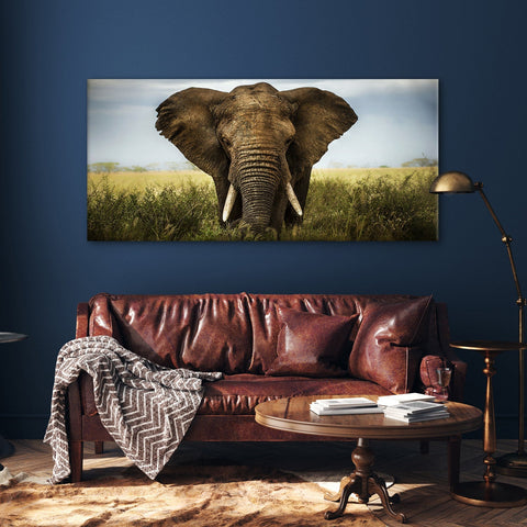 Amazing Wildlife Wall Art. Large Canvas Paintings. Framed Digital Reprints of Jungle, Wildlife, Animals and Birds 24 Inch x 48 Inch (WBWA24)