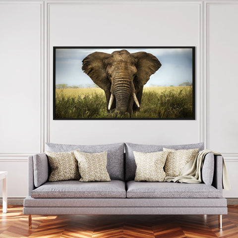 Amazing Wildlife Wall Art. Large Canvas Paintings. Framed Digital Reprints of Jungle, Wildlife, Animals and Birds 24 Inch x 48 Inch (WBWA24)